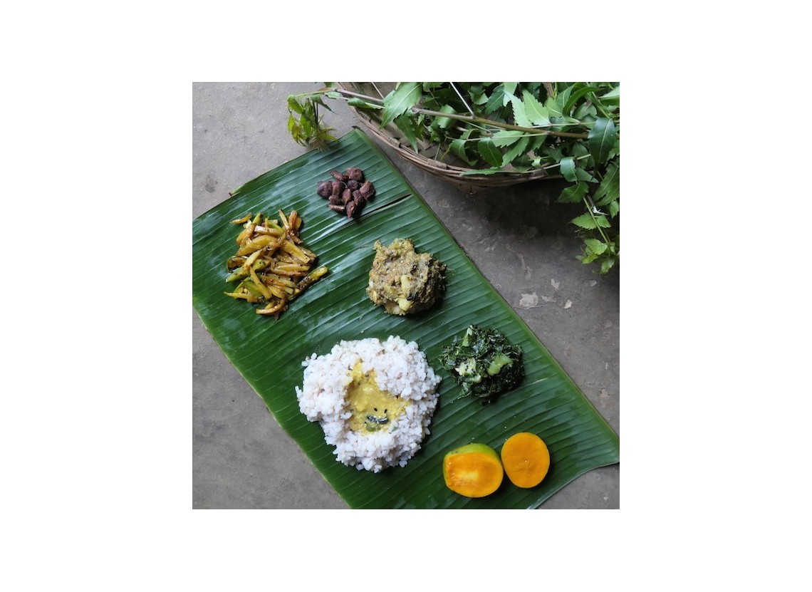 Soil: eco-responsible family cooking in the spotlight
